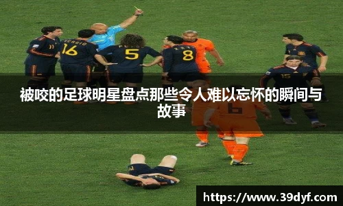 中国·BB贝博艾弗森