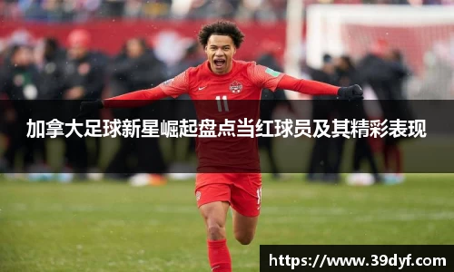 BB贝博艾弗森体育