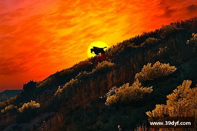 介绍BB贝博艾弗森